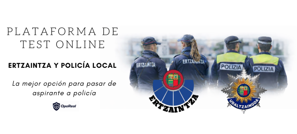 Plataforma de test online (2)d